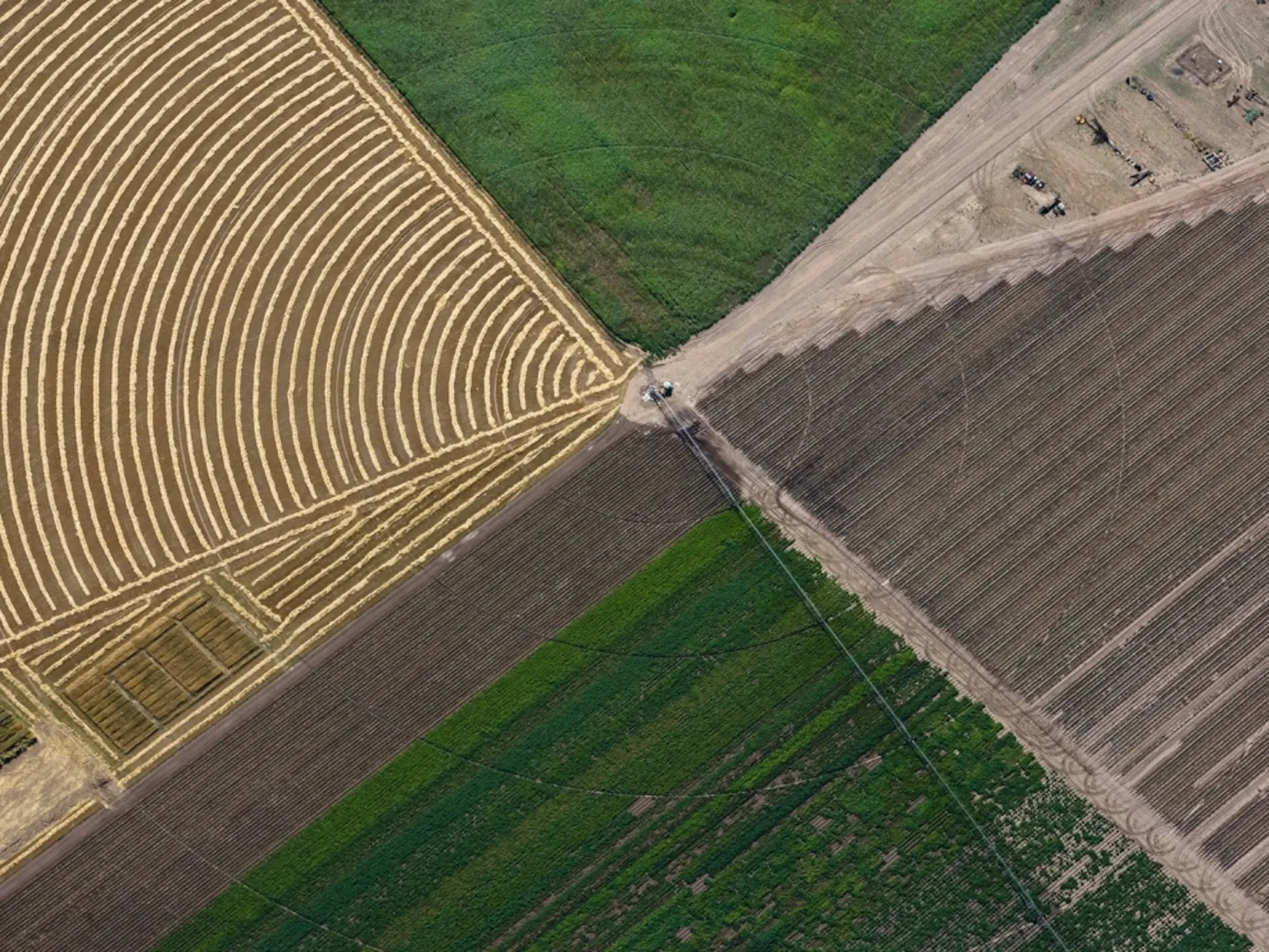 Agriculture