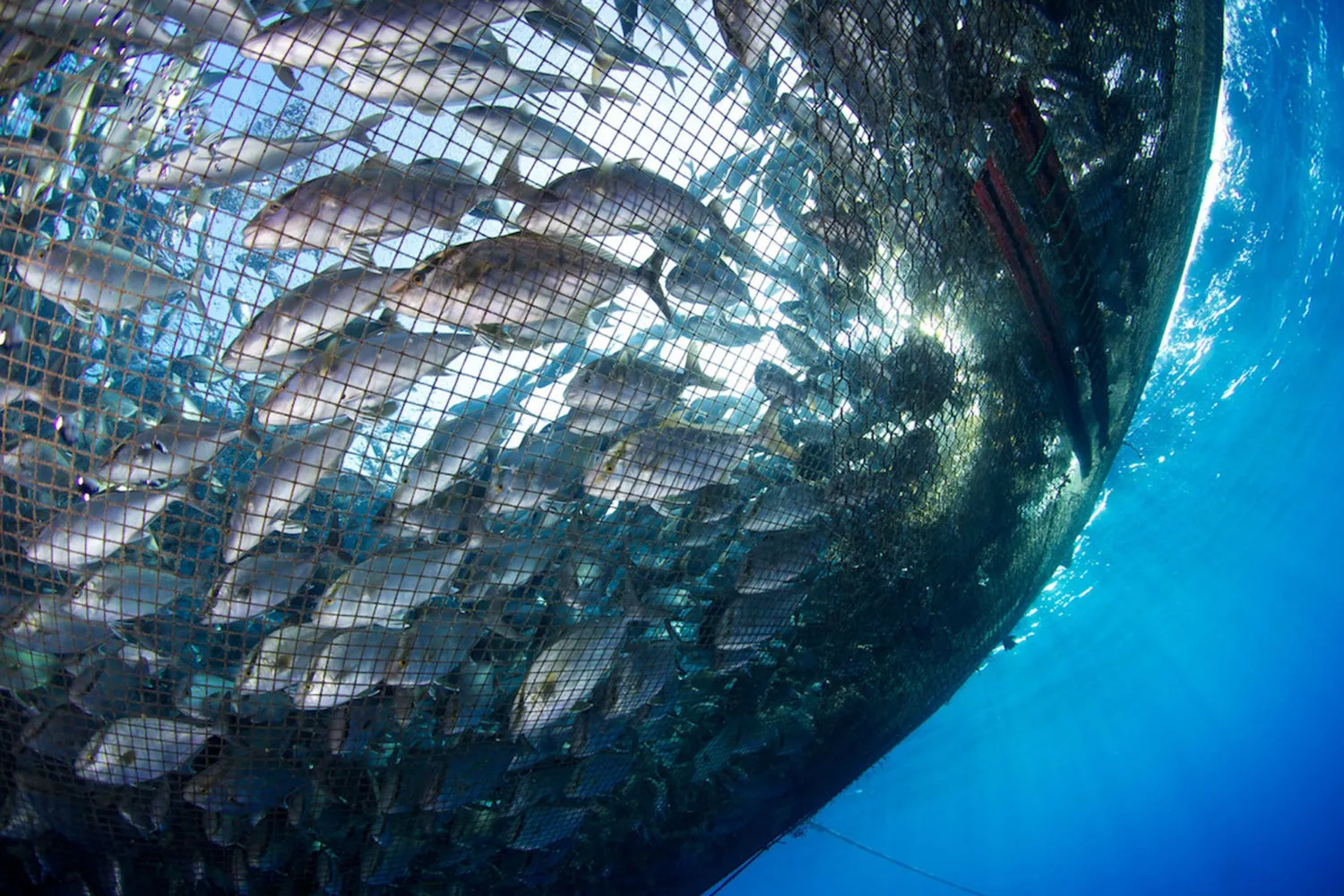 Fisheries