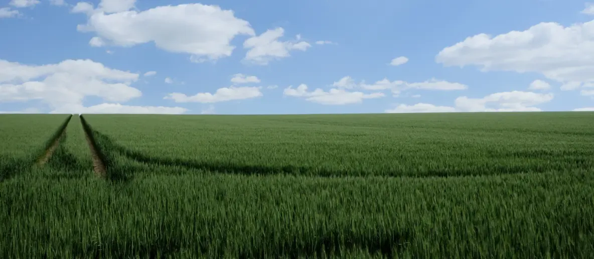 Agricultural field